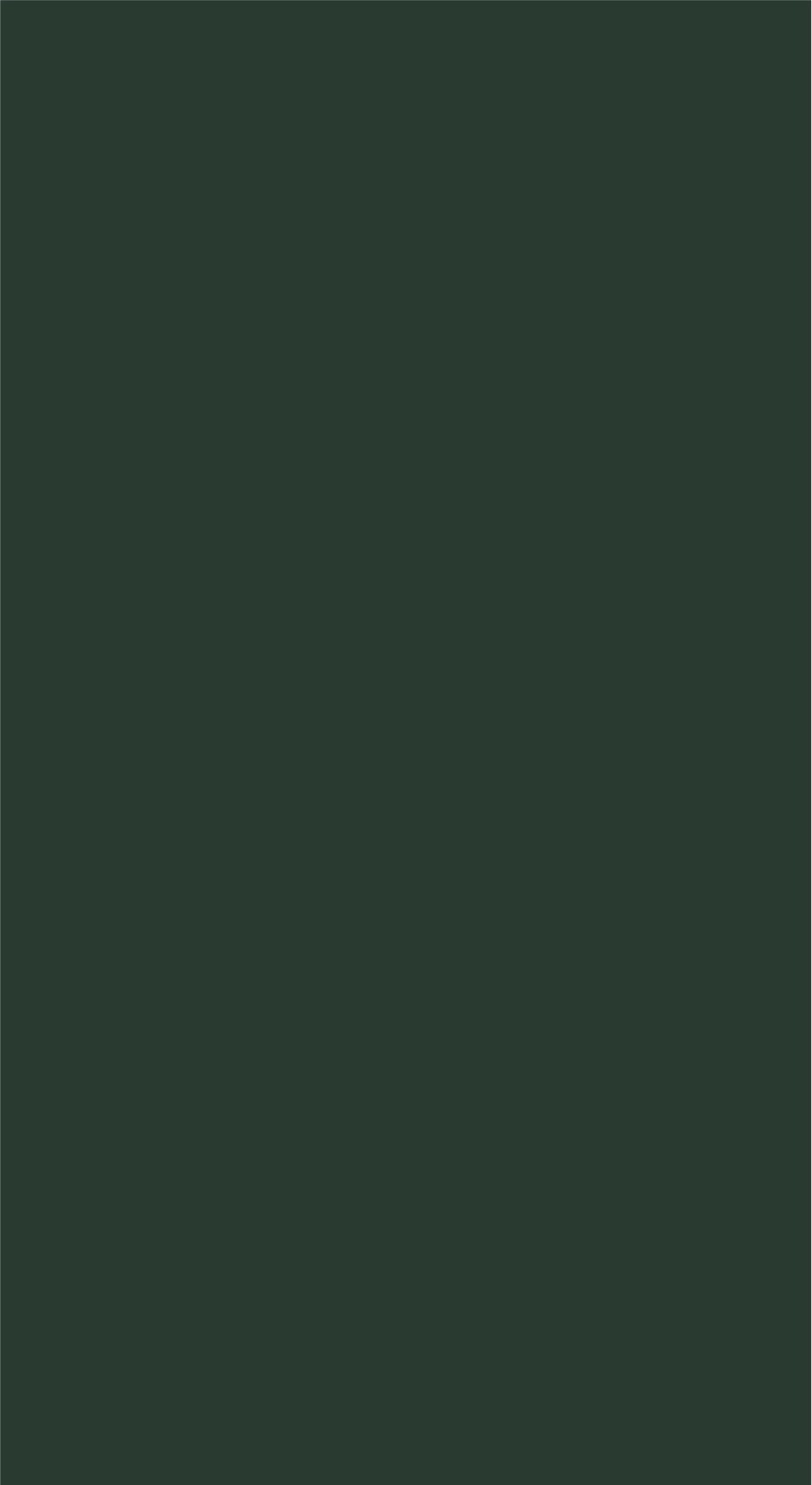 Product Image Not Found